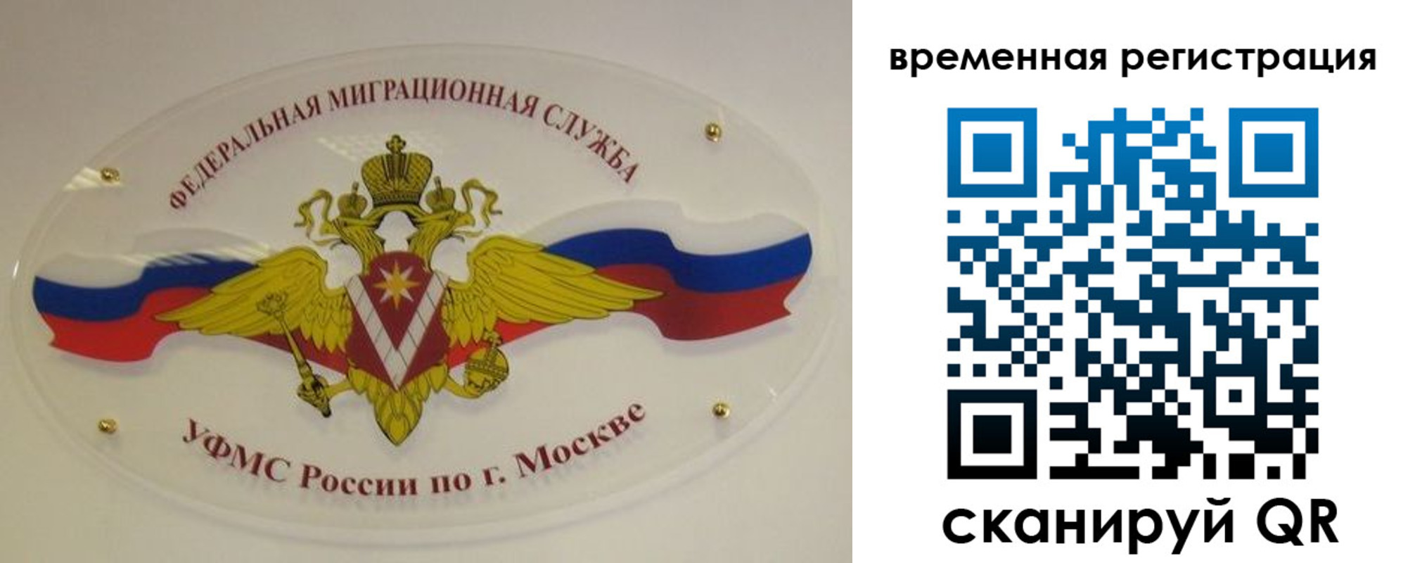прописка в Брянске